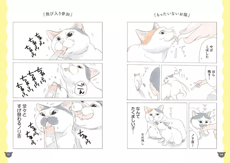 Nori the lucky cat will purr at Doki-Doki