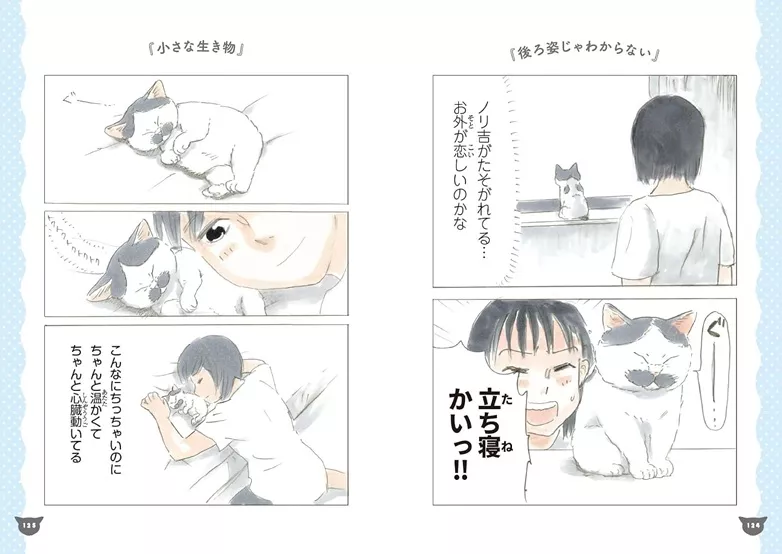 Nori the lucky cat will purr at Doki-Doki